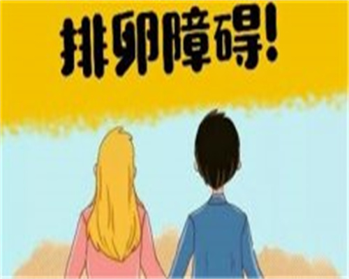 北京4bc囊胚着床率深度解析：鲜胚冻胚与助孕策略