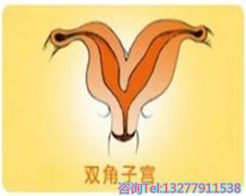 精准捕捉排卵日，科学备孕新方法
