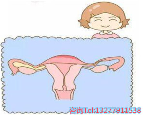 探究第三代试管婴儿的技术优势与费用构成