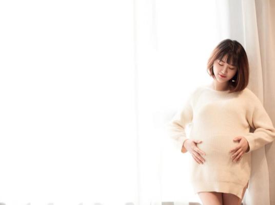 不为人知的养巢秘诀：重塑女性生育能力