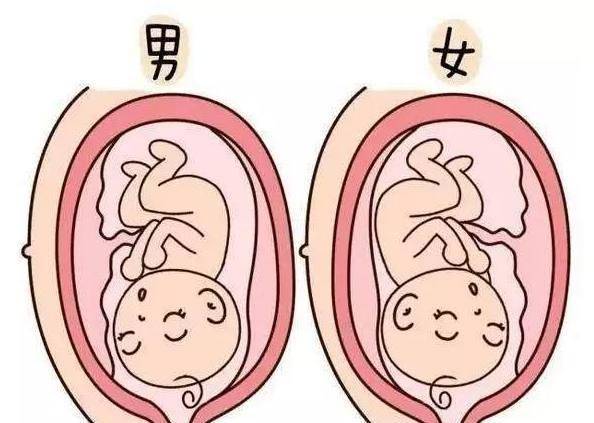 辅助生殖医保报销时效解析